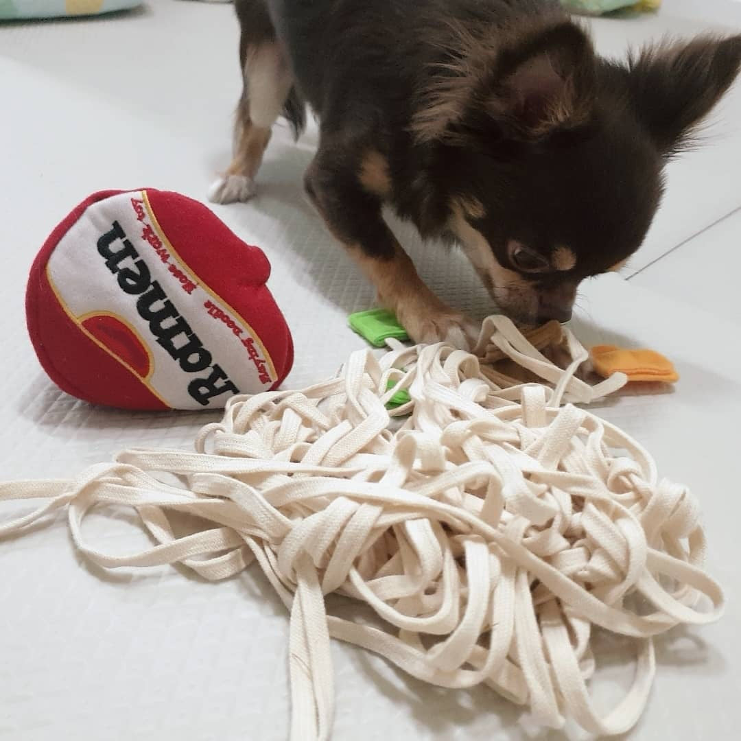 Spot special clearance puzzle grinding teeth dog toy sniff pull interactive training ramen pet toy